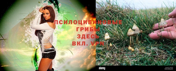 гашиш Алексин