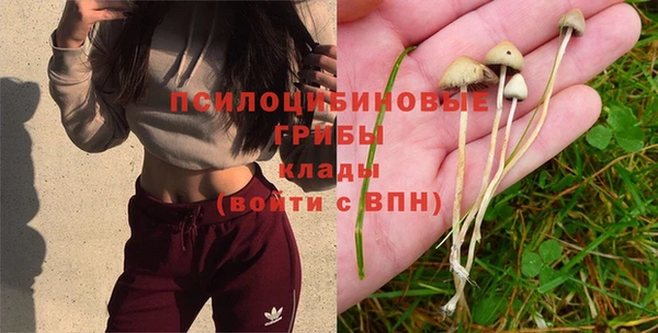 дживик Алзамай