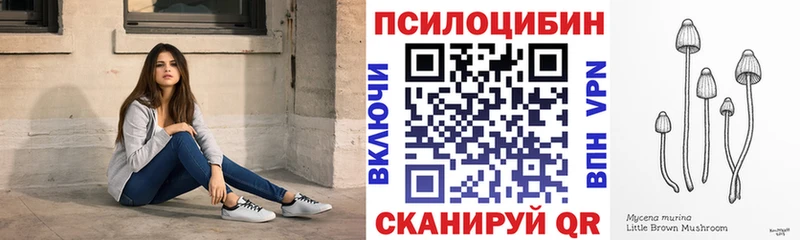 Галлюциногенные грибы Magic Shrooms  Талдом 
